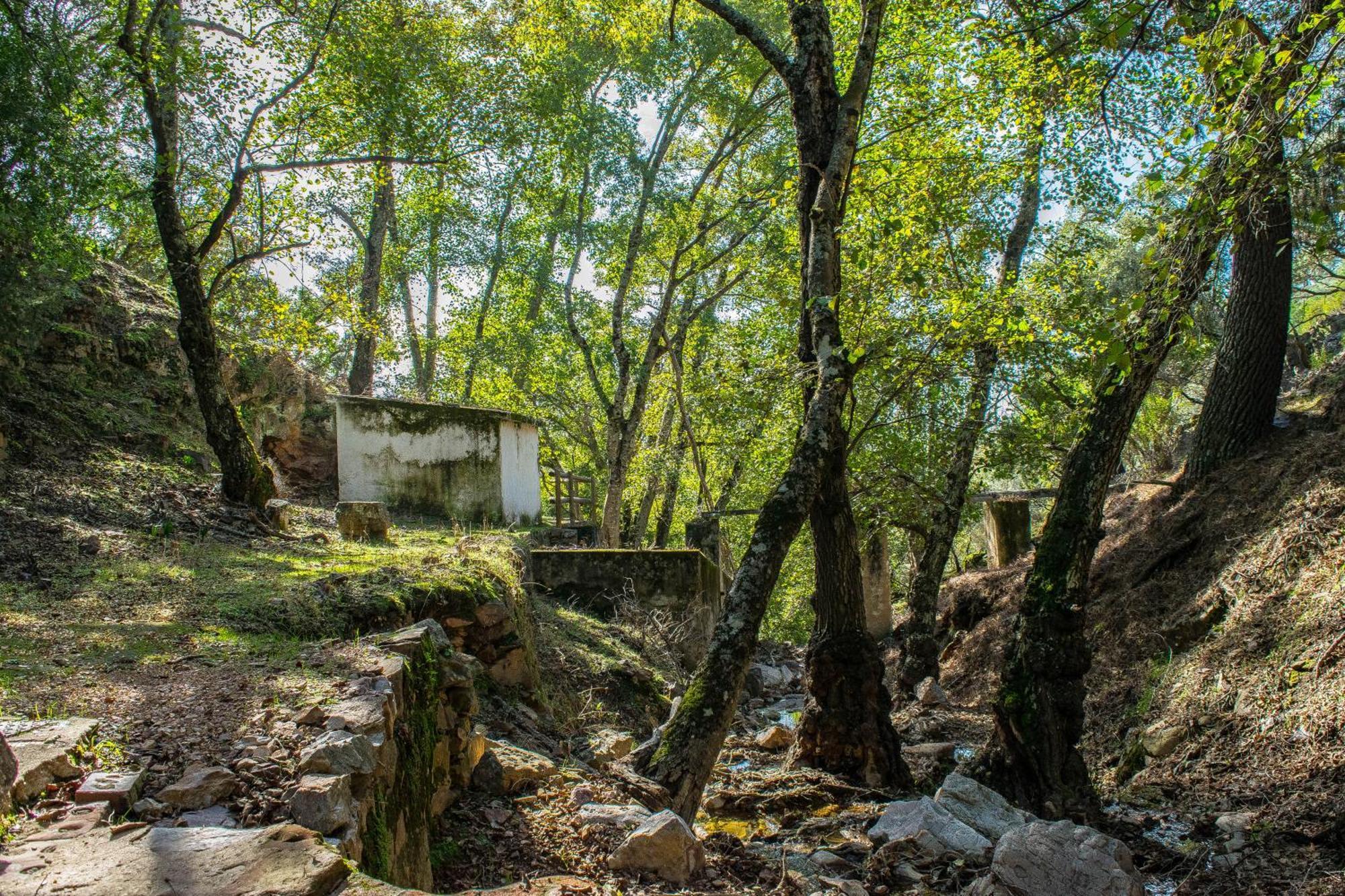 Villamaria, Alma De Despenaperros Miranda del Rey Kültér fotó